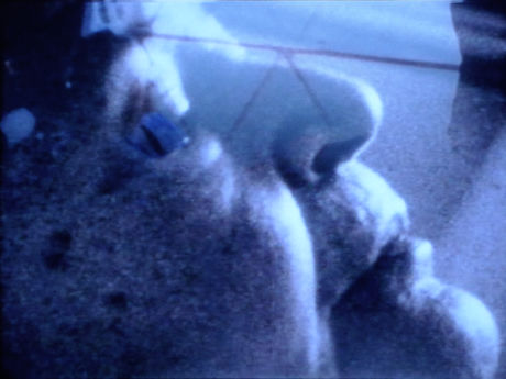 Barbara Hammer, Optic Nerve, 1985, 16mm film, color, sound by Helen Thorington, 16 min
